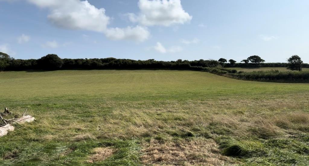 Lot: 130 - FREEHOLD RURAL BARN WITH CONSENT FOR CONVERSION ON A PLOT OF 1.27 ACRES - The View From the Front of the Site